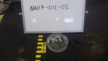 Media type: image;   Invertebrate Zoology 153105 Description: live specimen;